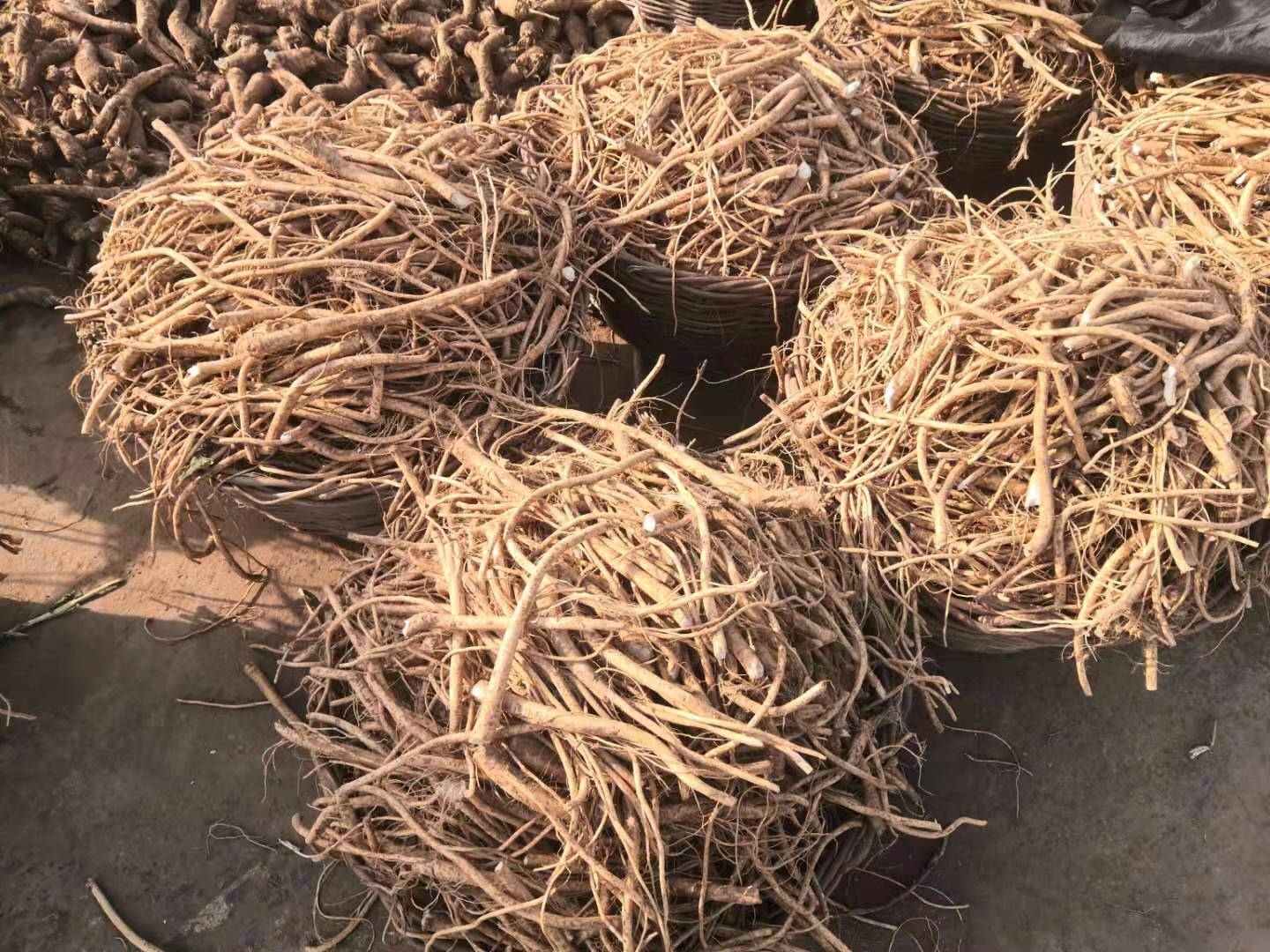告訴你芥末和辣根的區(qū)別！